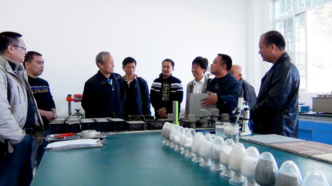 專家考察團(tuán)參觀考察廣西青龍實驗室